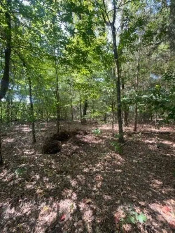 515 Caroline Lane, Bullard, TX 75757