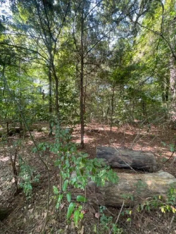 515 Caroline Lane, Bullard, TX 75757