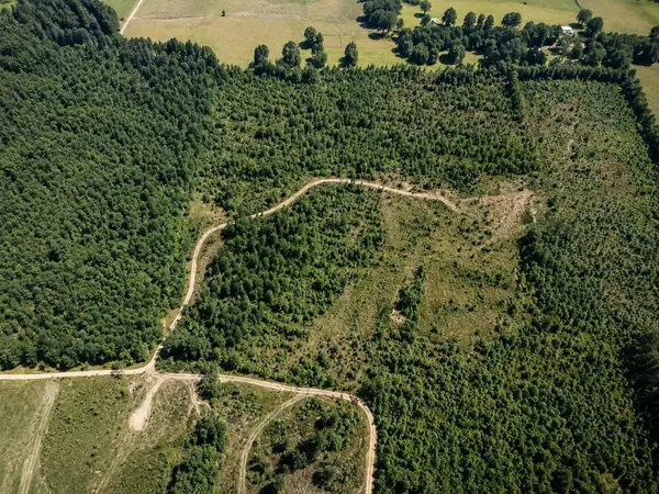 TBD County Road 4122, Jacksonville, TX 75766