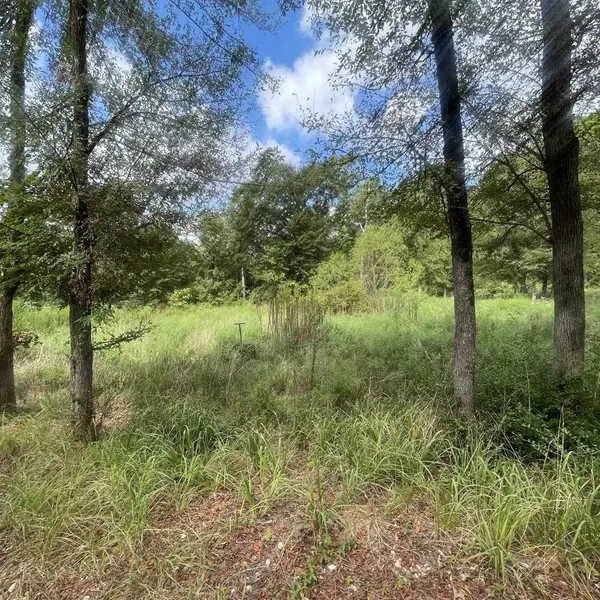 343 Laura Lane, Bullard, TX 75757