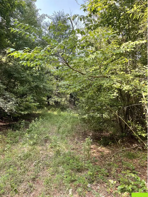 TBD County Road 4559, Winnsboro, TX 75494
