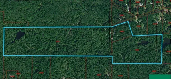 TBD County Road 4559, Winnsboro, TX 75494