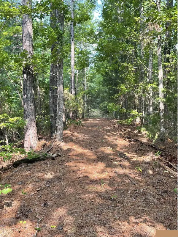 TBD County Road 4559, Winnsboro, TX 75494