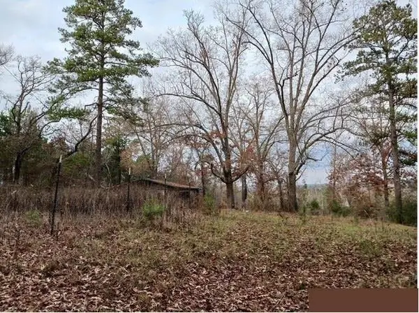 765 Private Road 4322, Hallsville, TX 75650