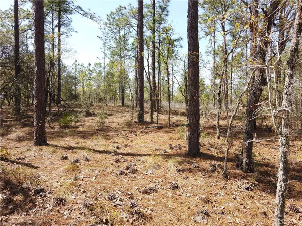 SE 138TH AVE, Dunnellon, FL 34431