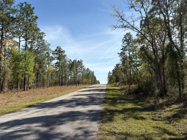 SE 138TH AVE, Dunnellon, FL 34431