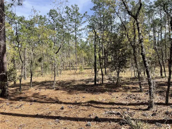 SE 138TH AVE, Dunnellon, FL 34431