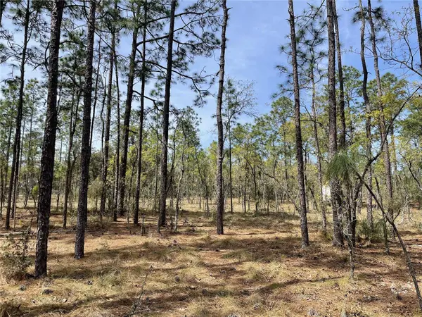 SE 138TH AVE, Dunnellon, FL 34431