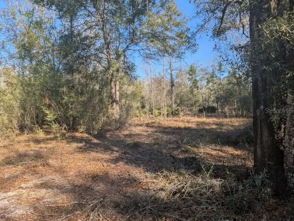 NW 10TH AVE, Bell, FL 32619