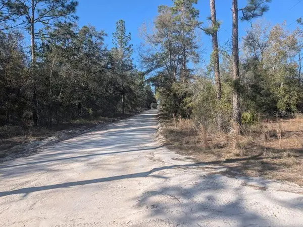 NW 10TH AVE, Bell, FL 32619