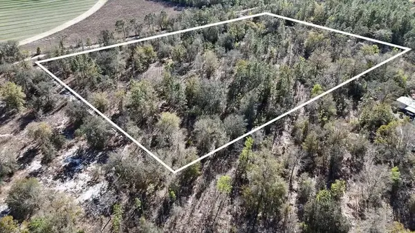 NW 10TH AVE, Bell, FL 32619