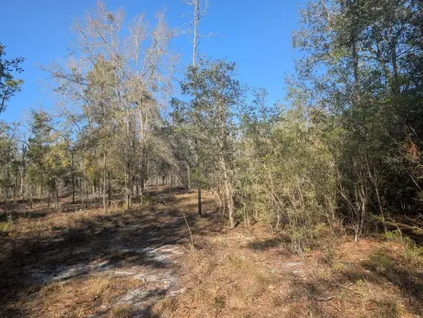 NW 10TH AVE, Bell, FL 32619