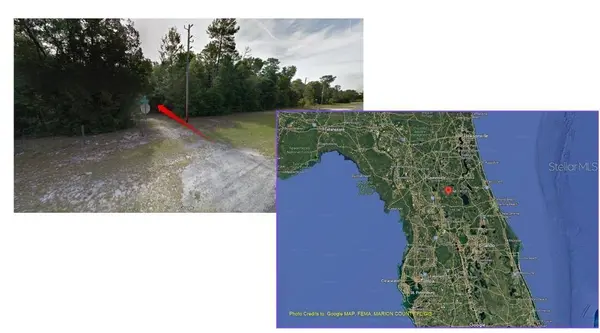 TBD NE 141ST LN, Fort Mc Coy, FL 32134