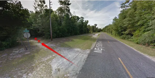 TBD NE 141ST LN, Fort Mc Coy, FL 32134