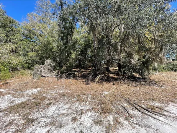 Lot 17 MALAUKA LOOP, Ocklawaha, FL 32179