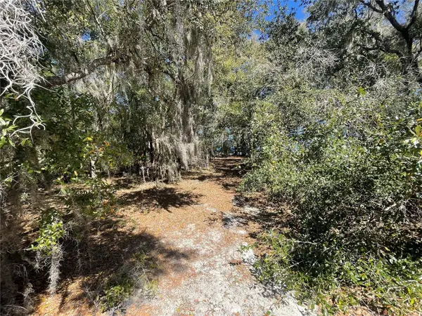 Lot 17 MALAUKA LOOP, Ocklawaha, FL 32179