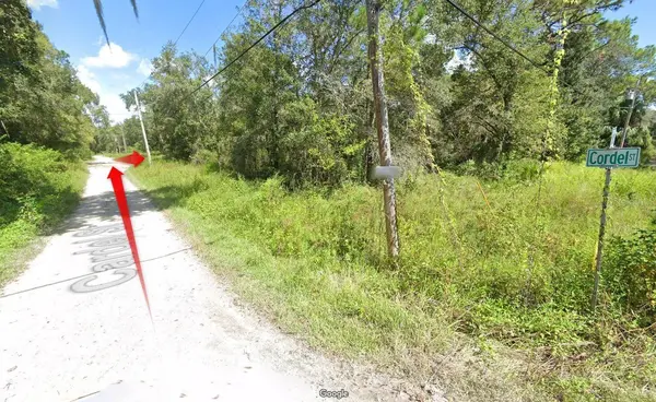 11080 CORDEL ST, New Port Richey, FL 34654