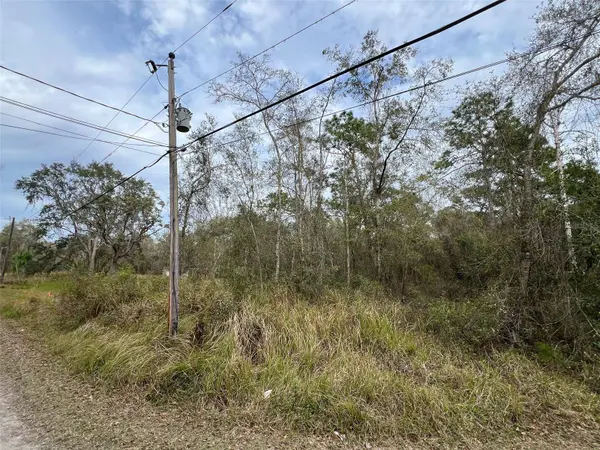 11080 CORDEL ST, New Port Richey, FL 34654