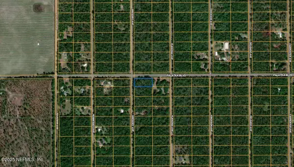 10600 GREGORY AVE, Hastings, FL 32145