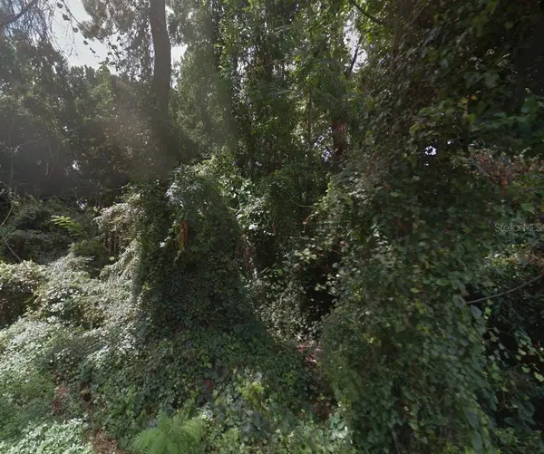 Lot 12 SE 126TH LN, Belleview, FL 34420