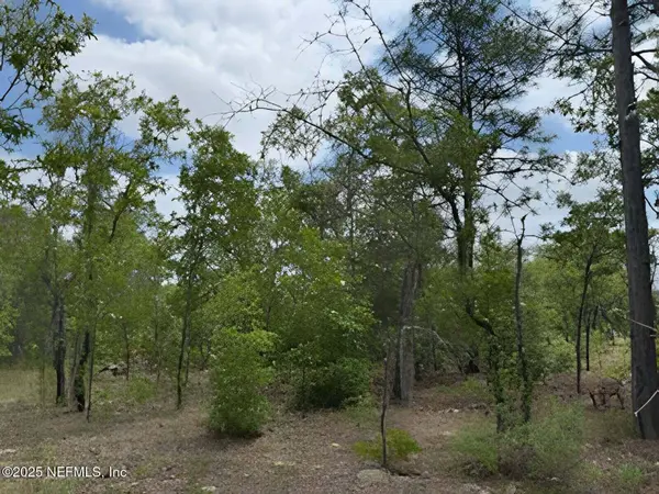 0 AZALEA DR, Interlachen, FL 32148