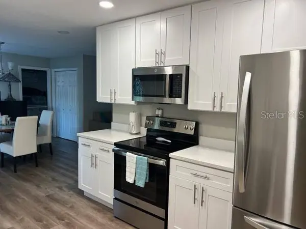 2726 KNOLL ST E, Palm Harbor, FL 34683