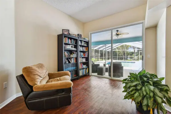 3919 FAN PALM CT, Land O Lakes, FL 34638