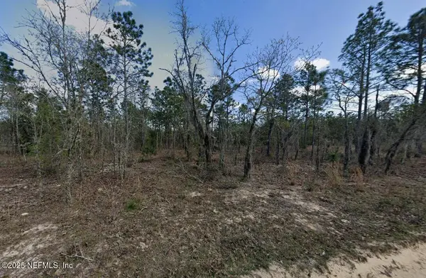 128-5-9 ROYAL WAY, Interlachen, FL 32148