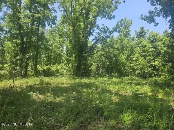 0 HIGGINBOTHAM DR, Callahan, FL 32011