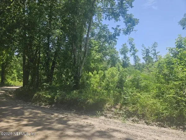 0 HIGGINBOTHAM DR, Callahan, FL 32011