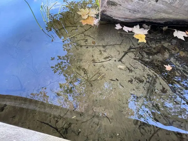 100 SW 8th AVE, Grand Rapids, MN 55744