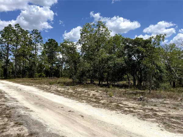TBD SE 95TH ST, Dunnellon, FL 34431