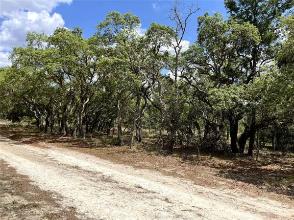 TBD SE 95TH ST, Dunnellon, FL 34431