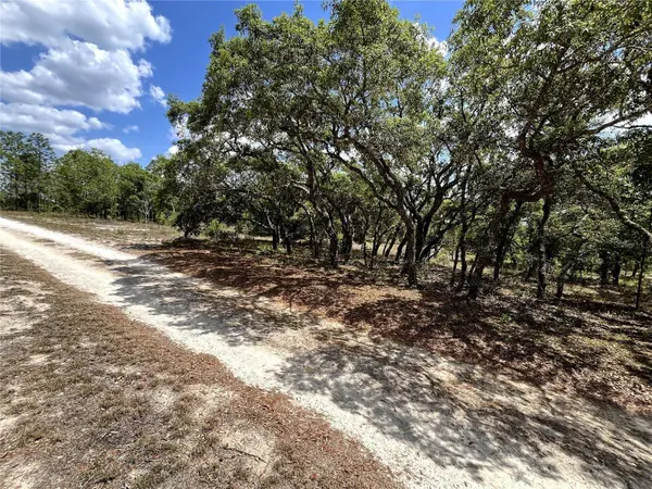 TBD SE 95TH ST, Dunnellon, FL 34431
