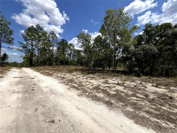 TBD SE 95TH ST, Dunnellon, FL 34431