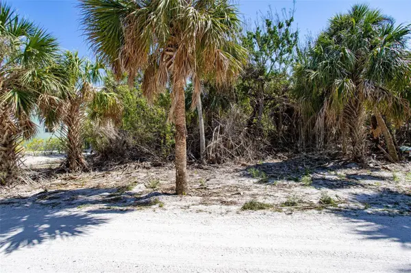 72 PALM DR, Placida, FL 33946