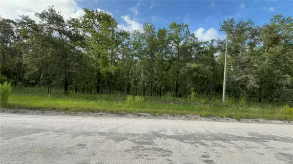 TBD SE COUNTY ROAD 337, Morriston, FL 32668