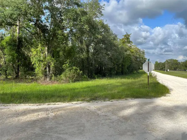 TBD SE COUNTY ROAD 337, Morriston, FL 32668