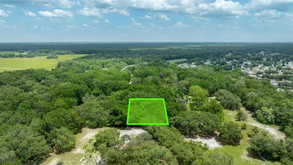 0 SW 141ST TRACT 69 PL, Dunnellon, FL 34432