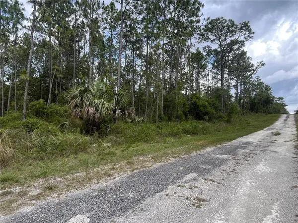 TBD SE 128TH AVE, Dunnellon, FL 34431