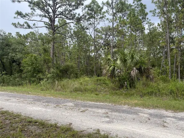 TBD SE 128TH AVE, Dunnellon, FL 34431