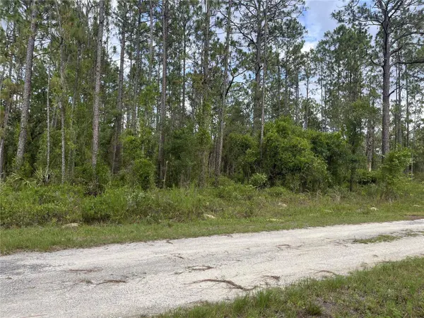 TBD SE 128TH AVE, Dunnellon, FL 34431