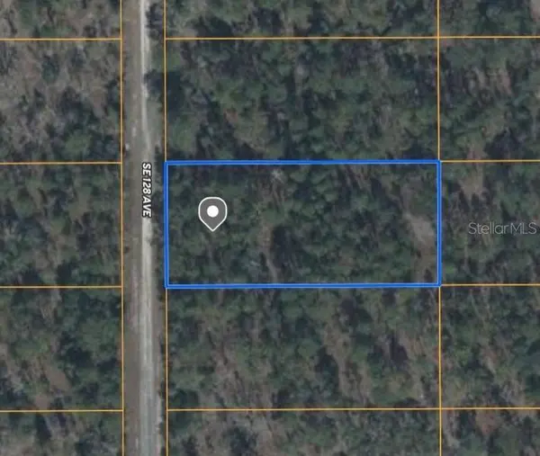 TBD SE 128TH AVE, Dunnellon, FL 34431