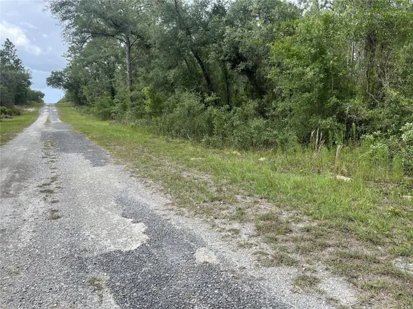 TBD SE 128TH AVE, Dunnellon, FL 34431