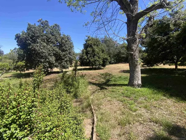 1345 Green Canyon Road, Fallbrook, CA 92028