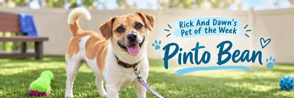 Meet Pinto Bean: Rick And Dawn’s Pet of the Week