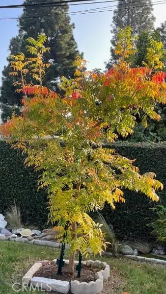 6128 E Conant, Long Beach, CA 90808