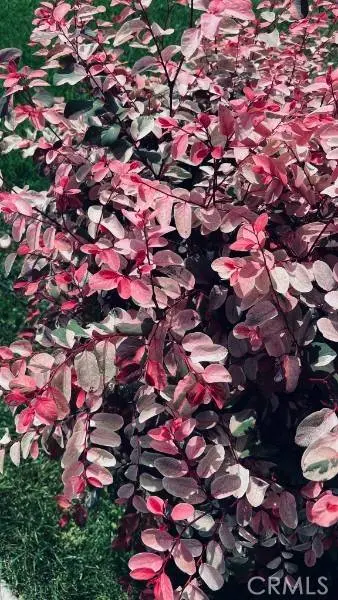 6128 E Conant, Long Beach, CA 90808