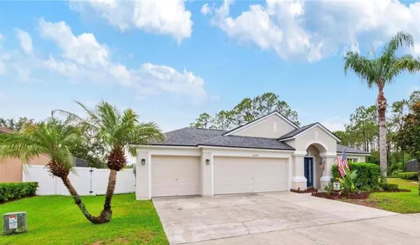 20744 ORCHARDTOWN DR, Land O Lakes, FL 34638