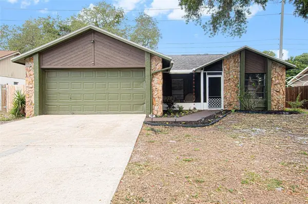4105 SPRING WAY CIR, Valrico, FL 33596